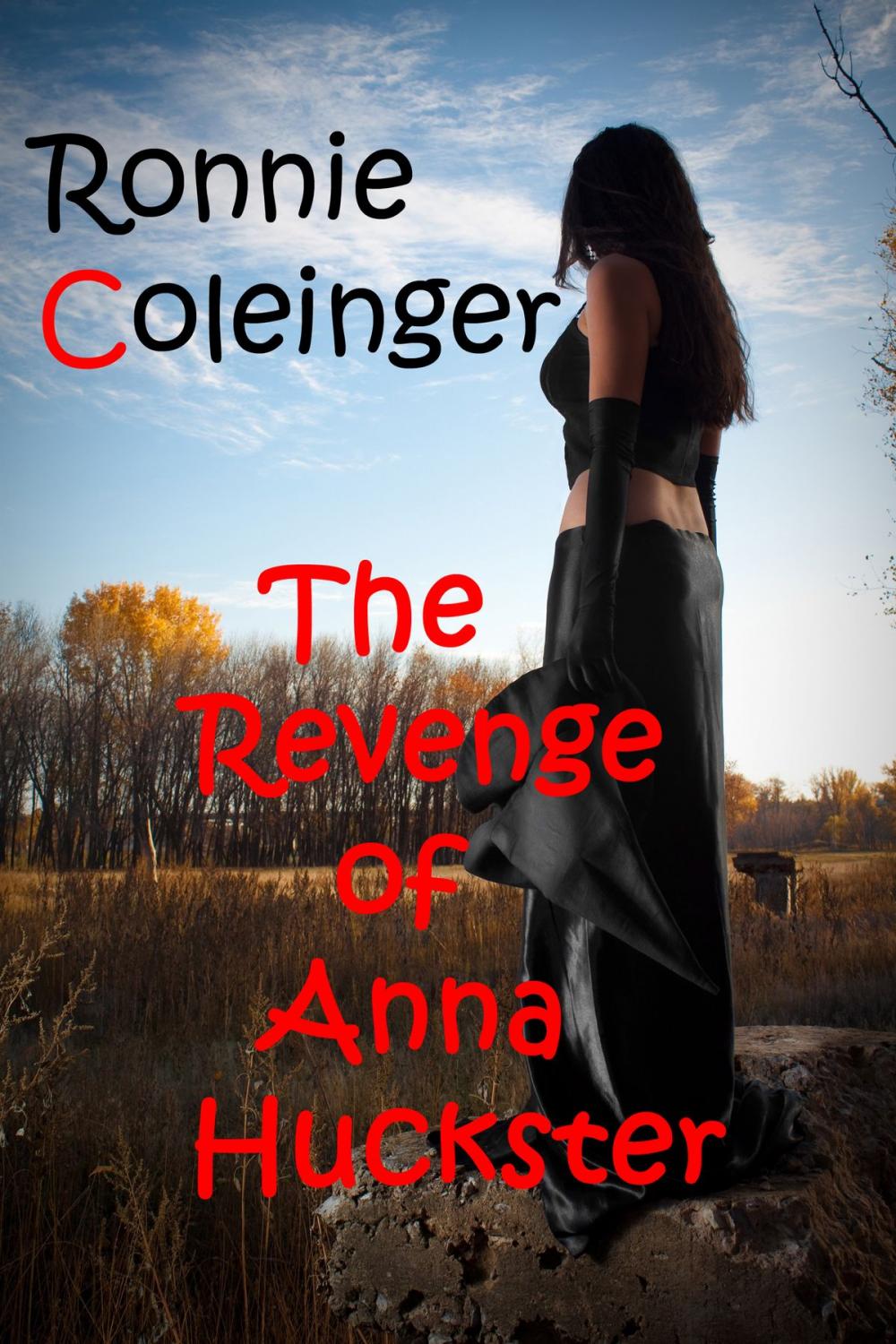 Big bigCover of The Revenge of Anna Huckster