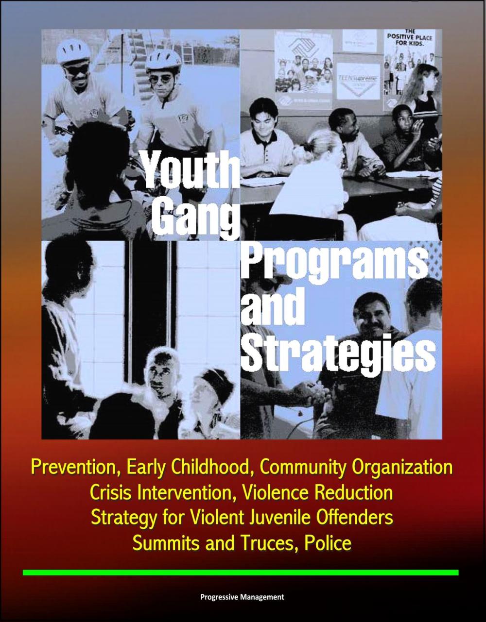 Big bigCover of Youth Gang Programs and Strategies: Prevention, Early Childhood, Community Organization, Crisis Intervention, Violence Reduction, Strategy for Violent Juvenile Offenders, Summits and Truces, Police