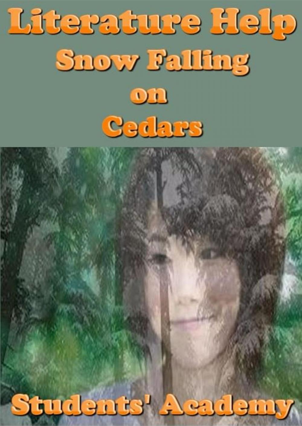 Big bigCover of Literature Help: Snow Falling on Cedars