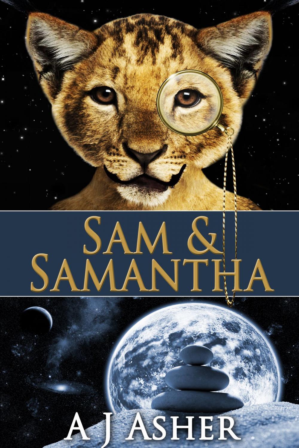 Big bigCover of Sam & Samantha