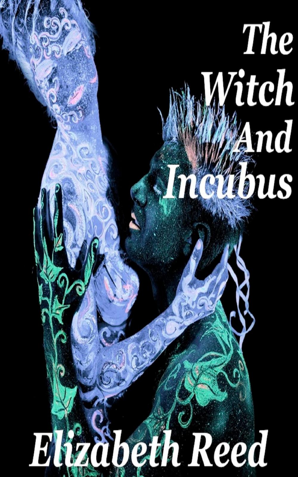 Big bigCover of The Witch and the Incubus