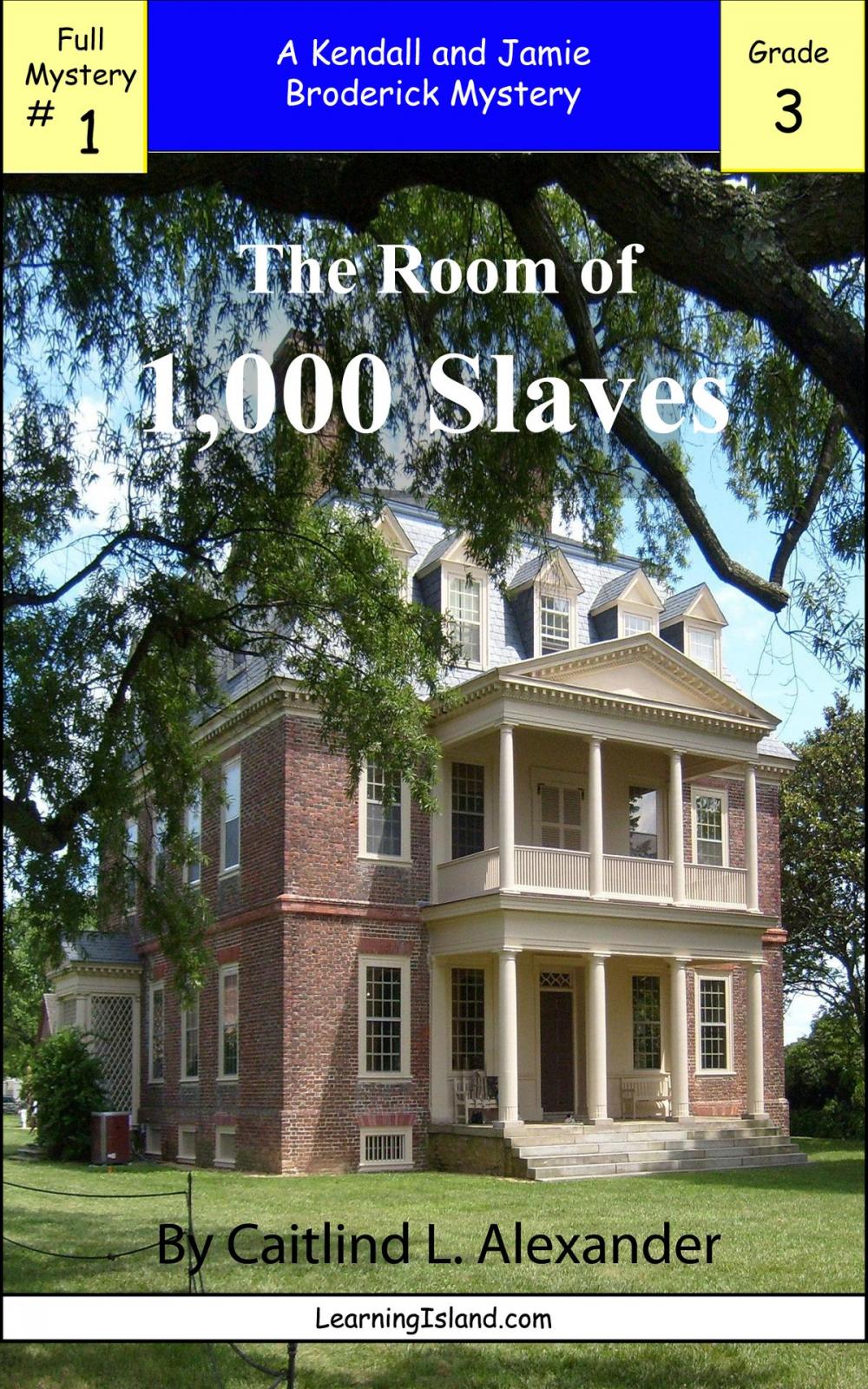 Big bigCover of The Room of 1,000 Slaves: A Full-length Broderick Mystery