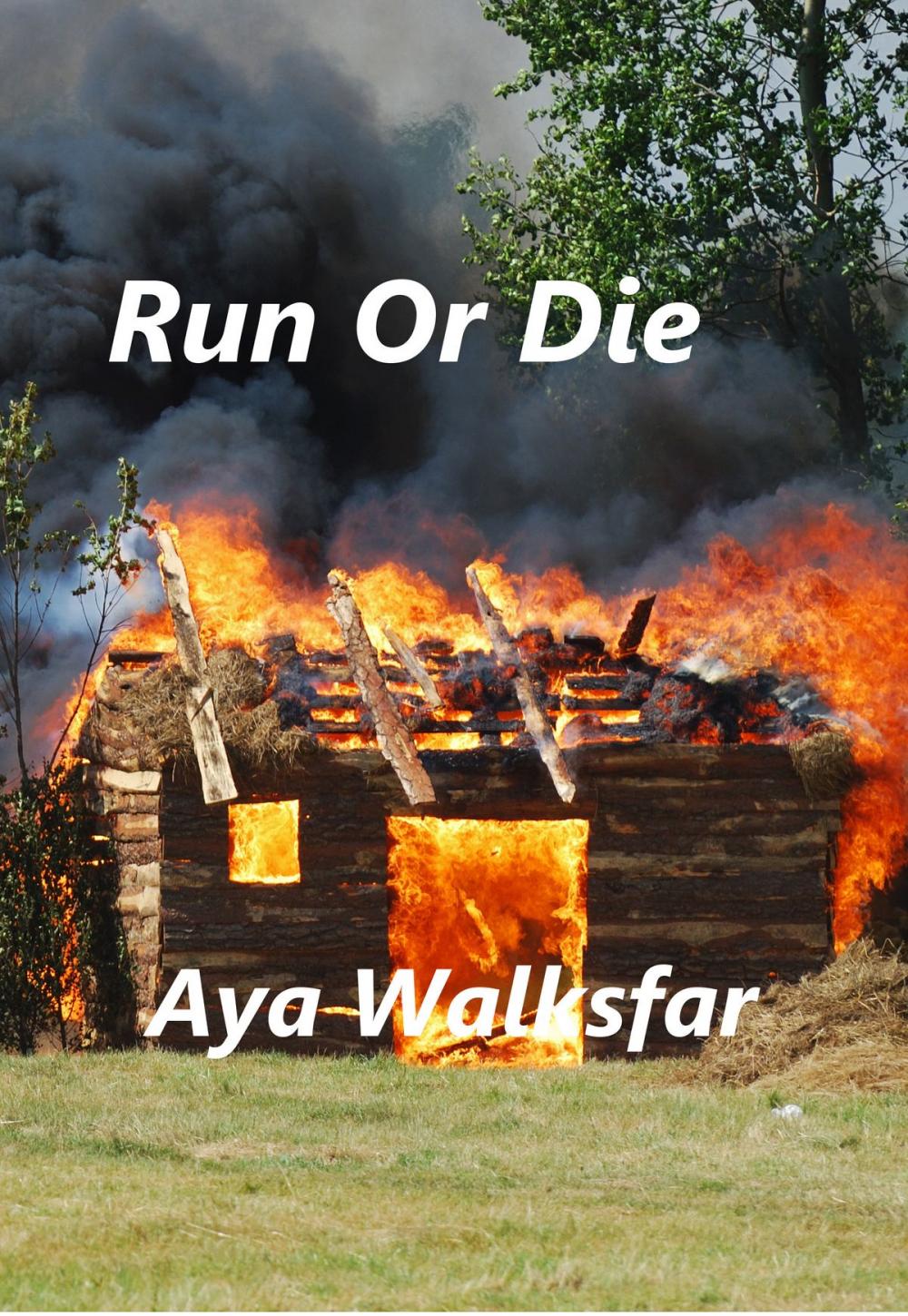 Big bigCover of Run Or Die