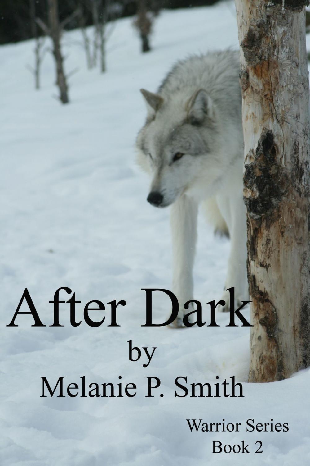 Big bigCover of After Dark: Warrior Series Book 2