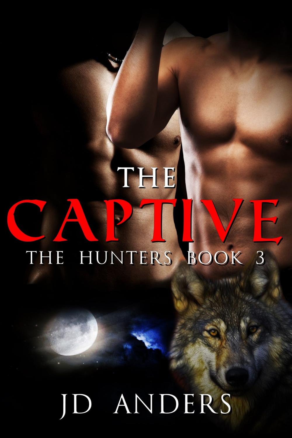 Big bigCover of The Captive