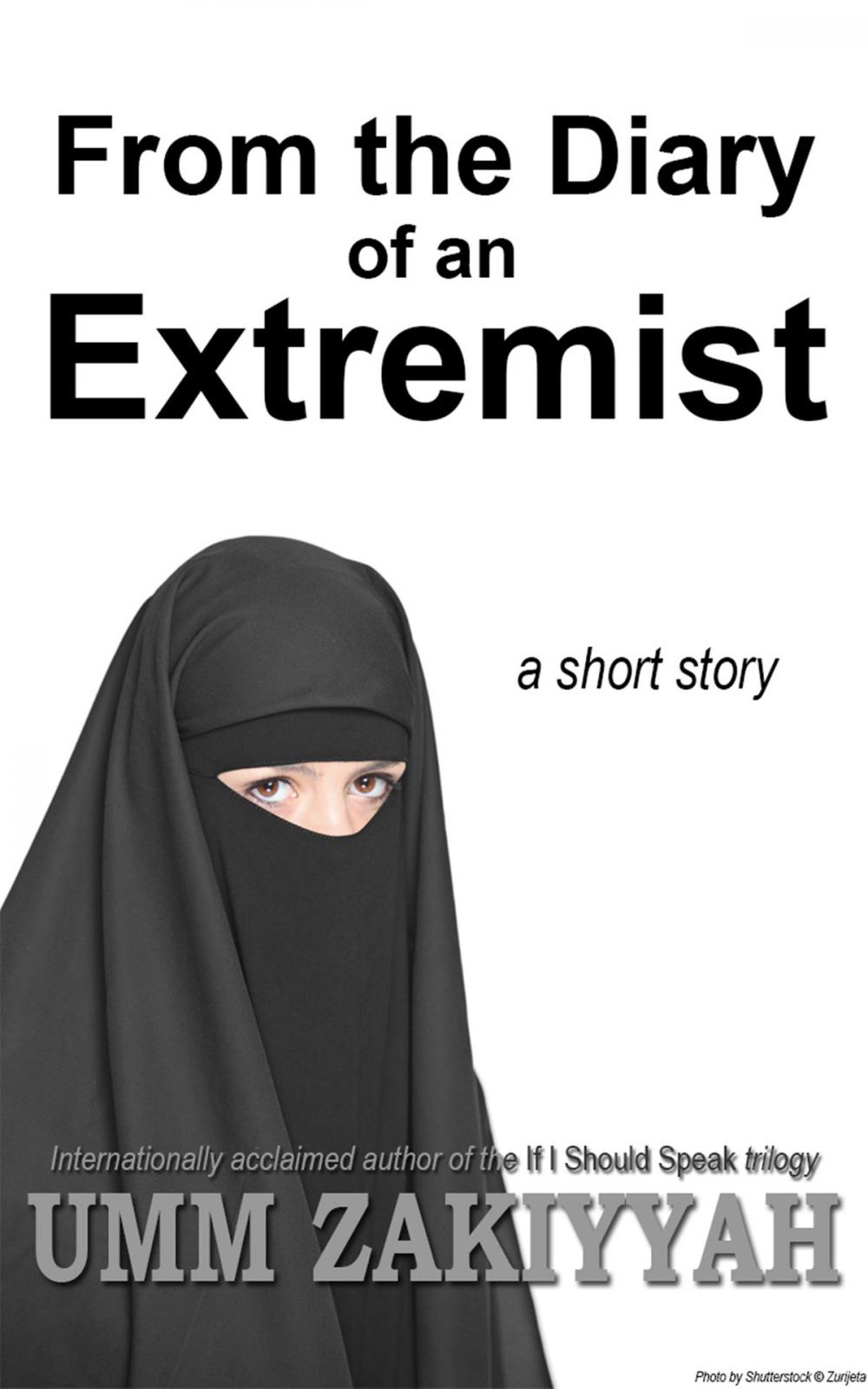 Big bigCover of From the Diary of an Extremist