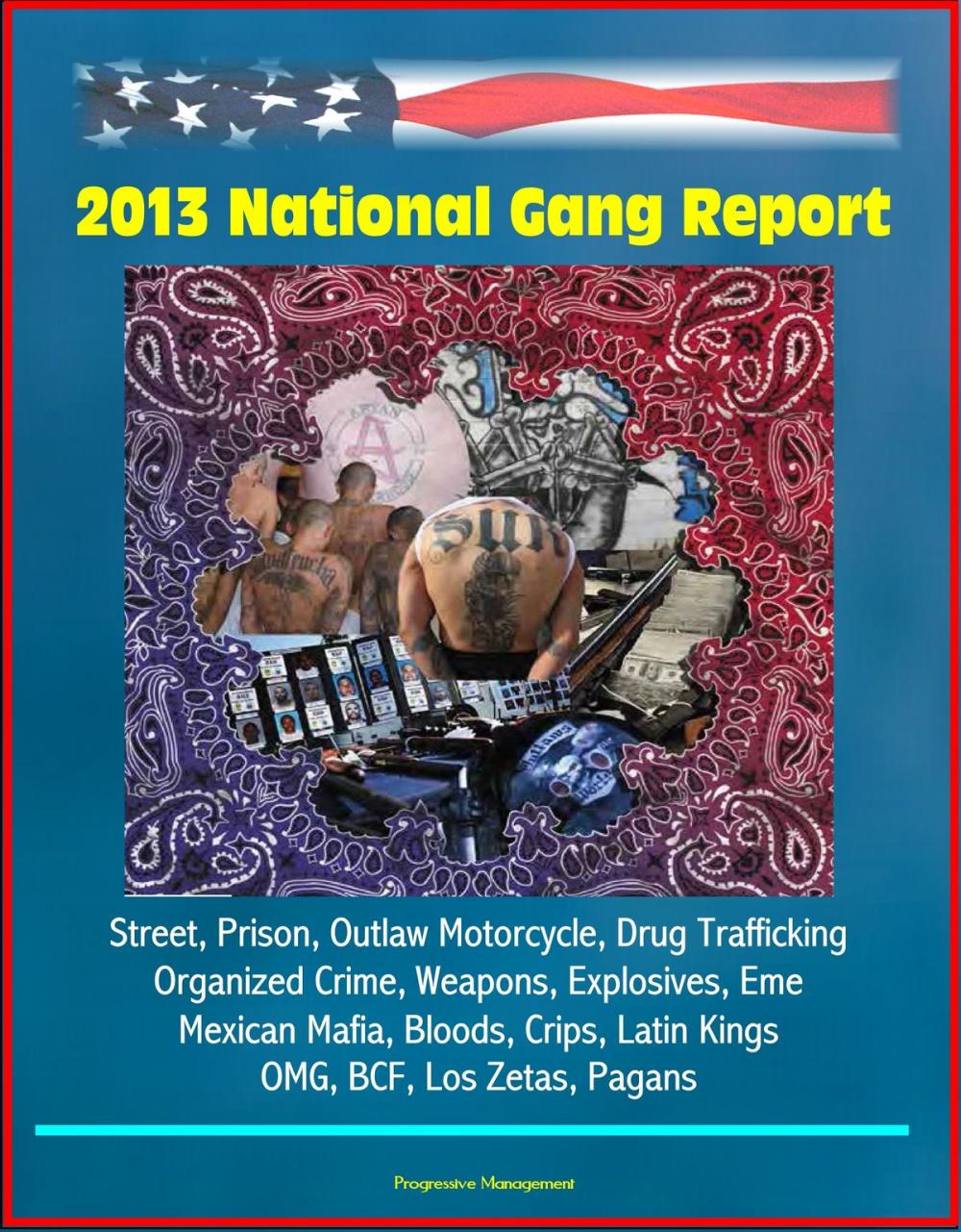 Big bigCover of 2013 National Gang Report: Street, Prison, Outlaw Motorcycle, Drug Trafficking, Organized Crime, Weapons, Explosives, Eme, Mexican Mafia, Bloods, Crips, Latin Kings, OMG, BCF, Los Zetas, Pagans