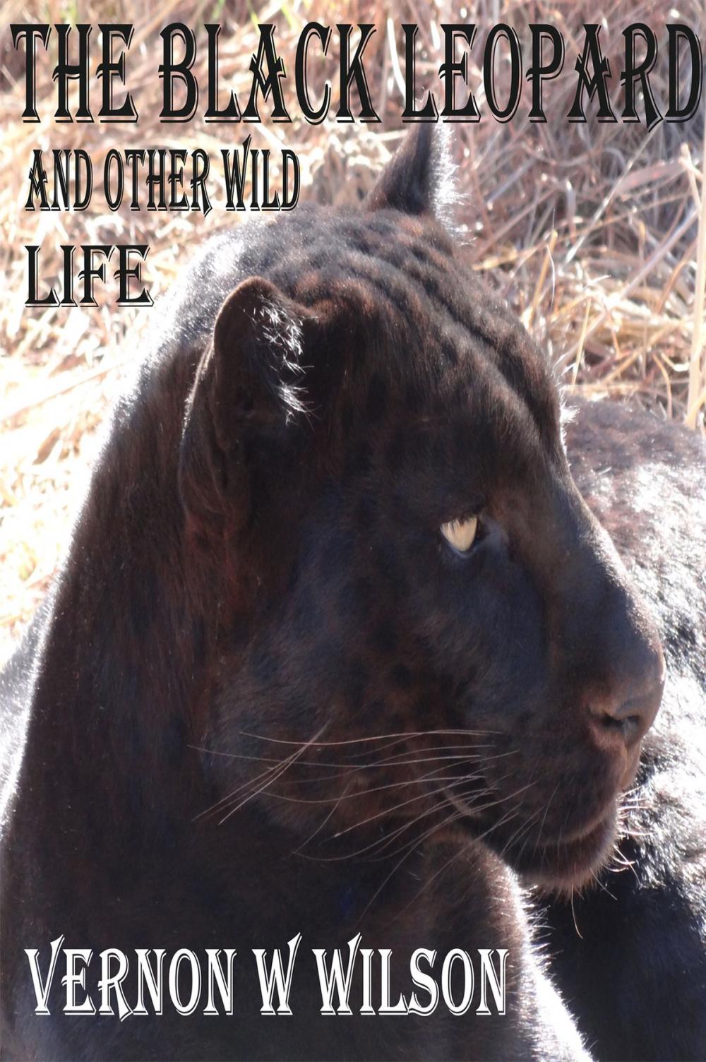 Big bigCover of The Black Leopard and Other Wild Life