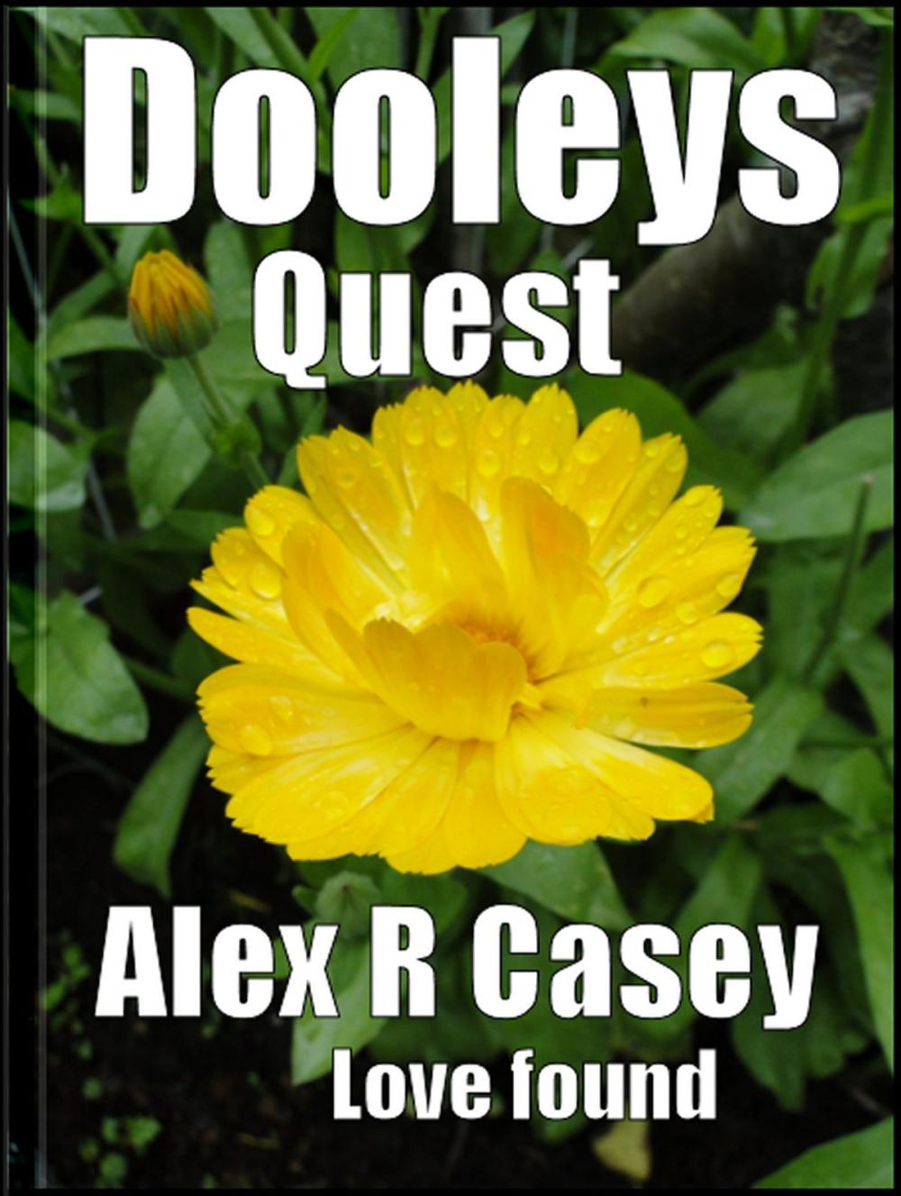 Big bigCover of Dooley's Quest