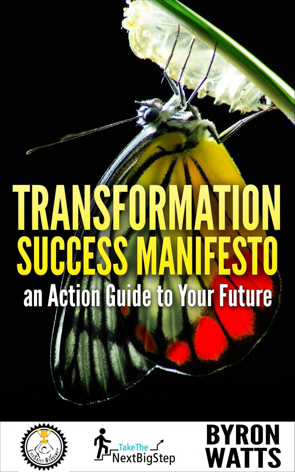 Big bigCover of Transformation Success Manifesto an Action Guide to Your Future