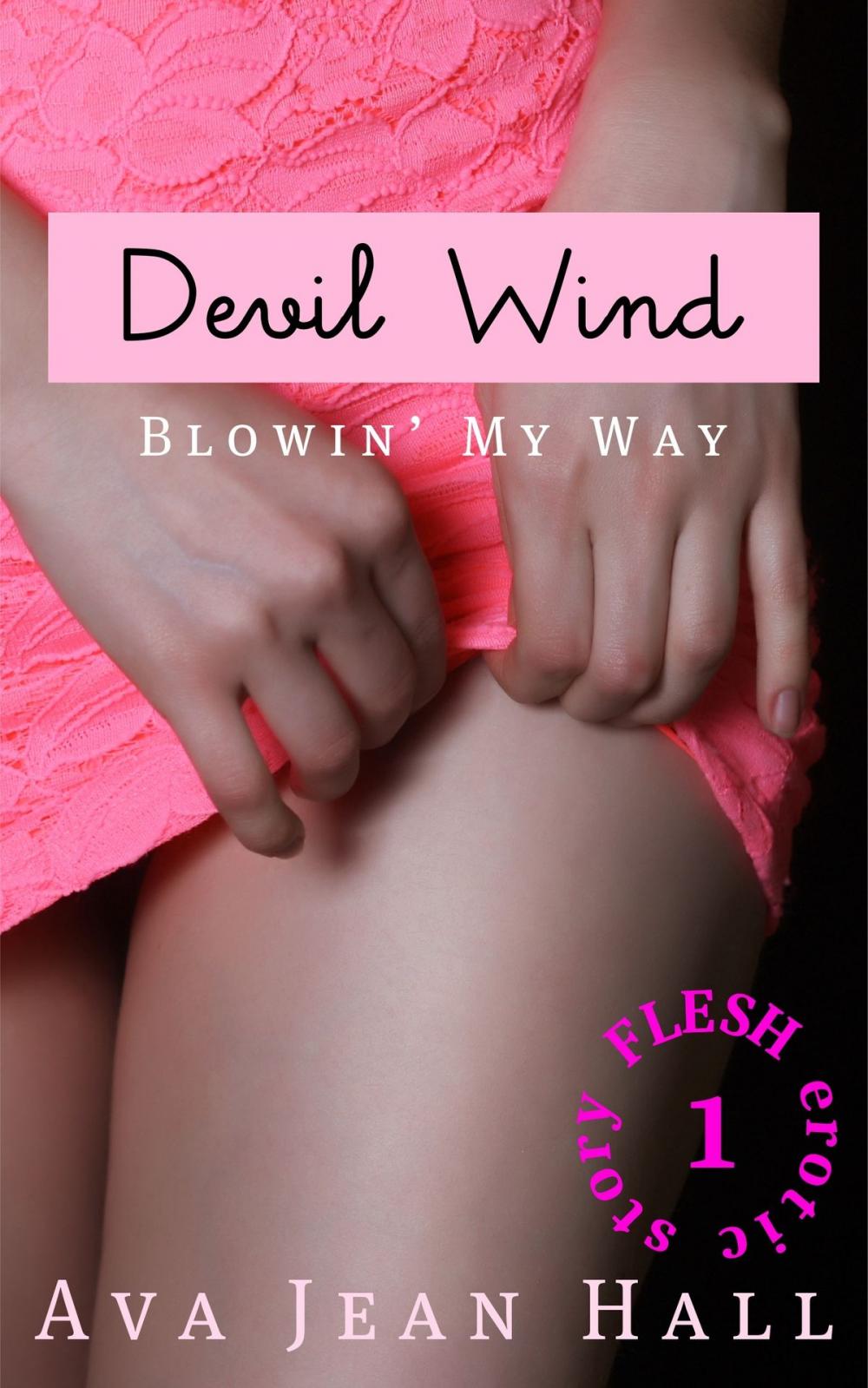 Big bigCover of Devil Wind: Blowin' My Way