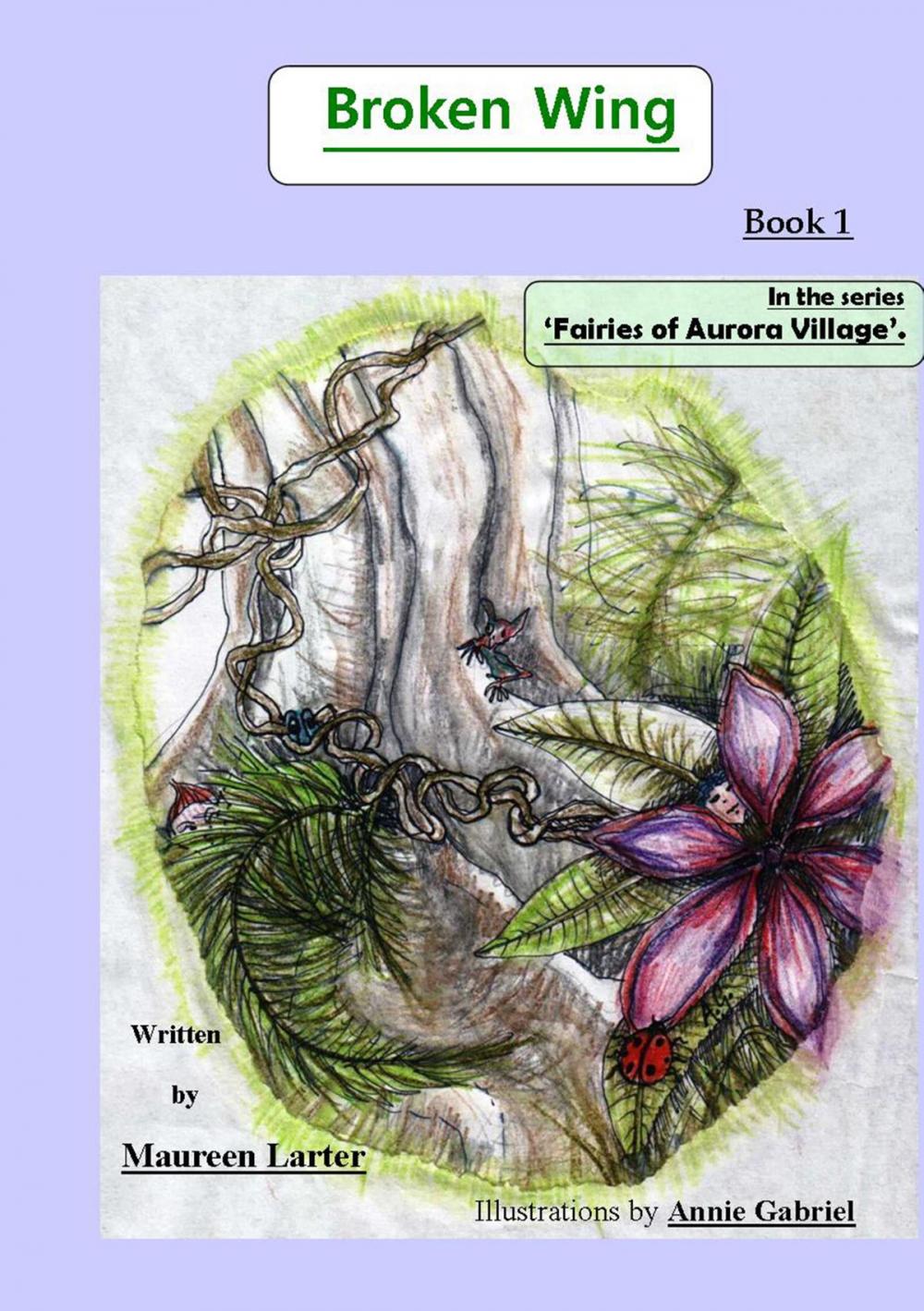 Big bigCover of Broken Wing (book 1 in the series 'Fairies of Aurora Village')