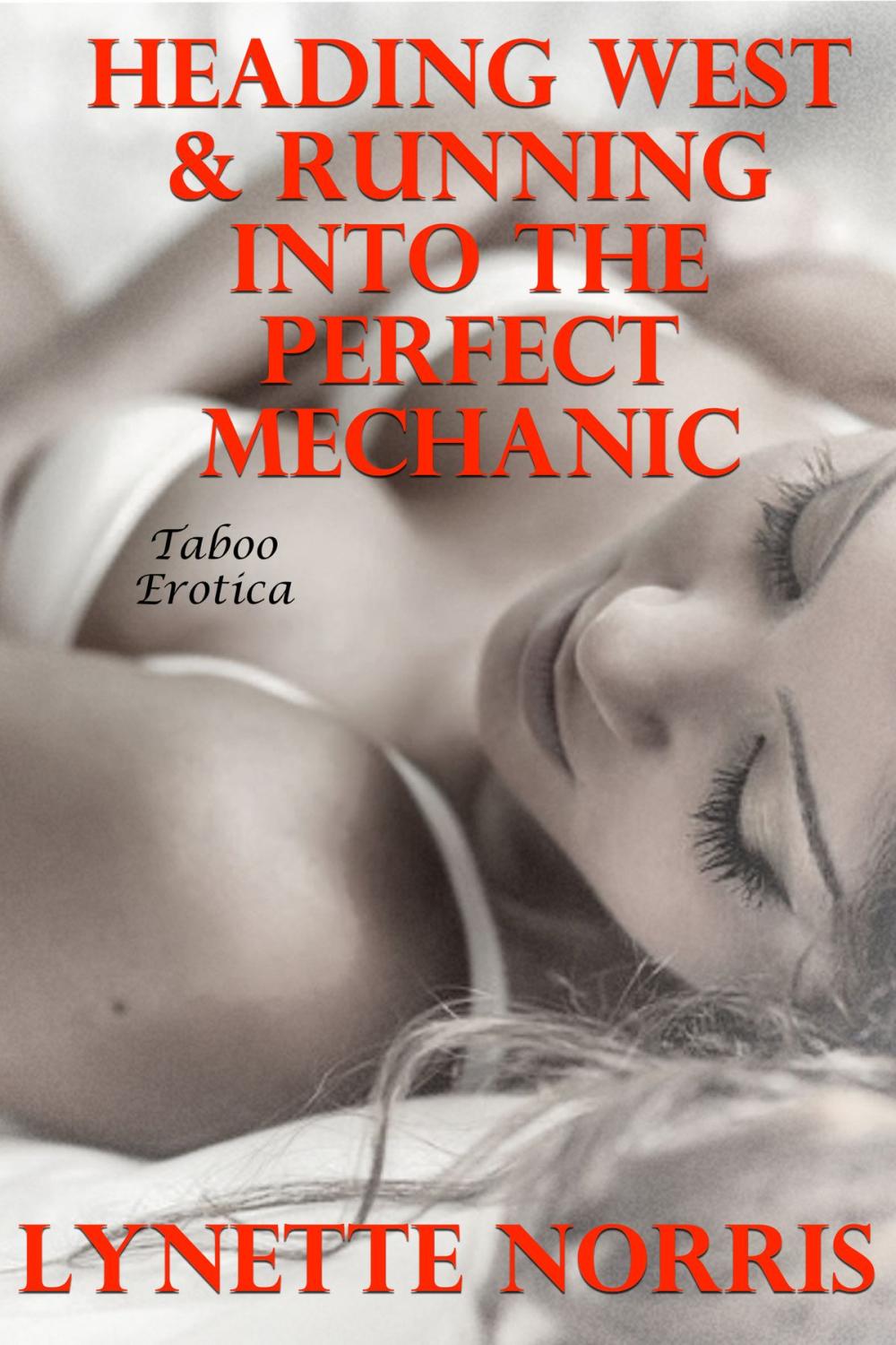 Big bigCover of Heading West & Running Into The Perfect Mechanic (Taboo Erotica)