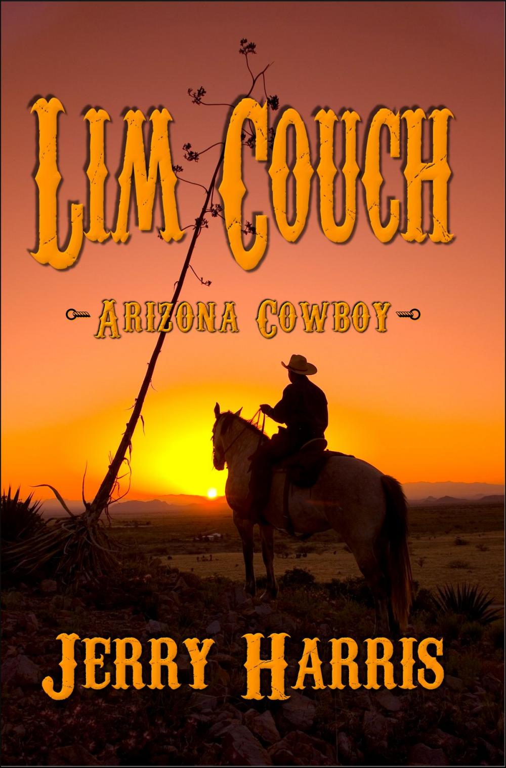 Big bigCover of Lim Couch: Arizona Cowboy