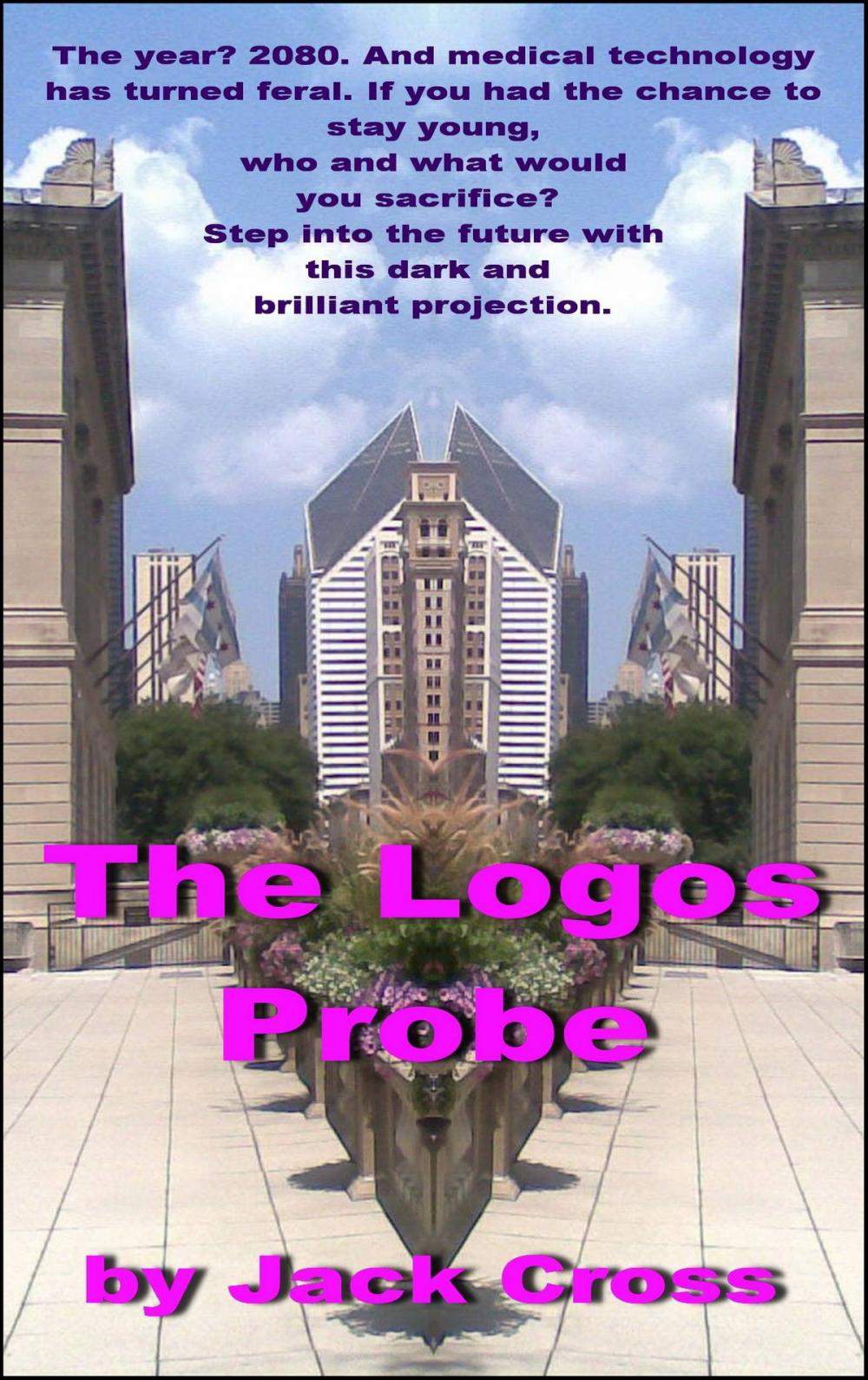 Big bigCover of The Logos Probe