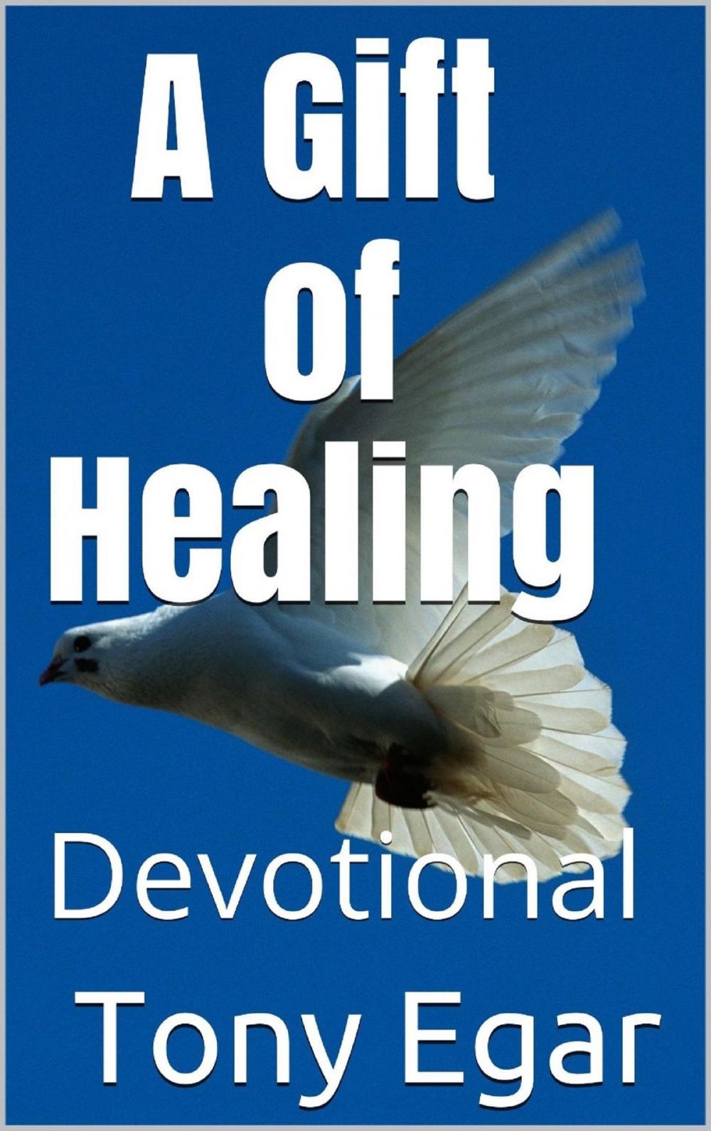 Big bigCover of A Gift of Healing