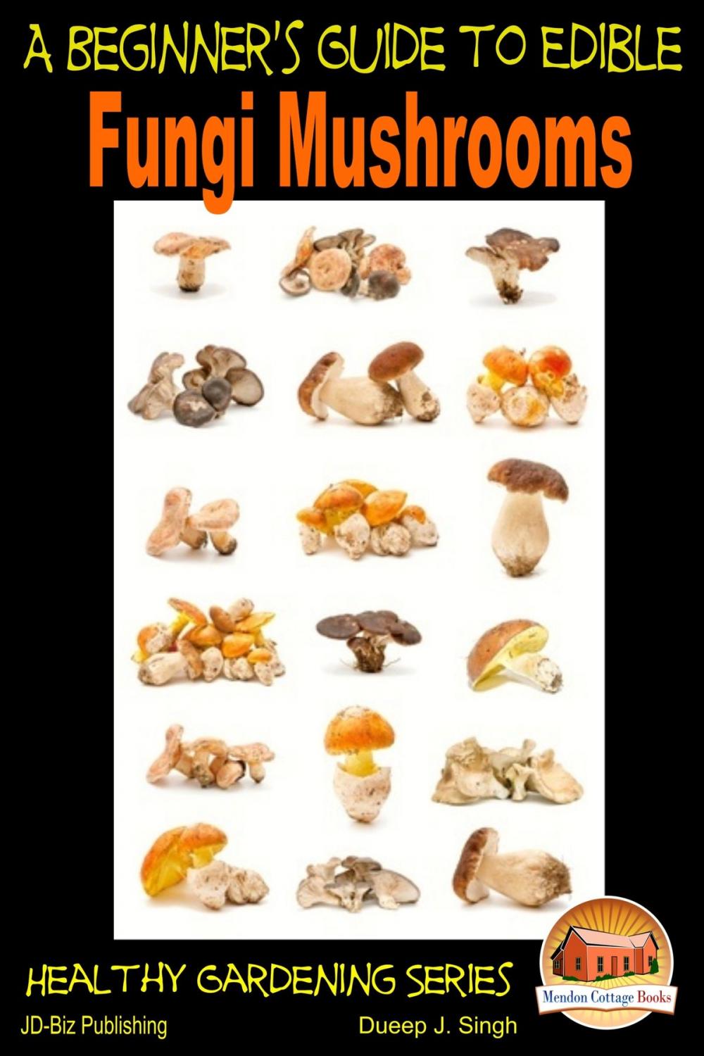 Big bigCover of A Beginner's Guide to Edible Fungi Mushrooms