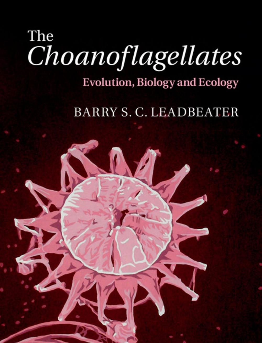 Big bigCover of The Choanoflagellates