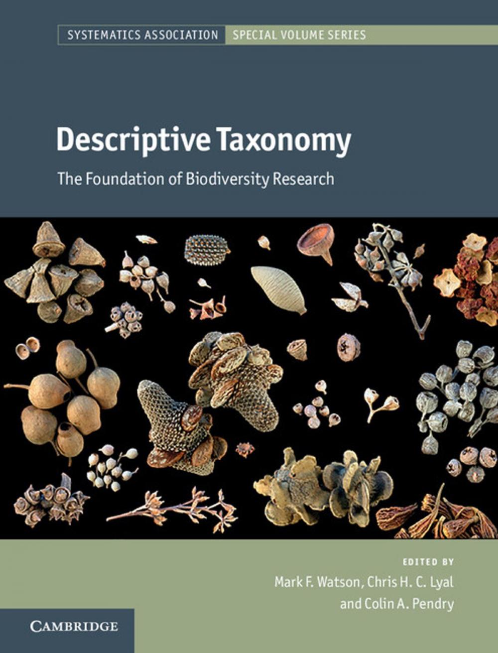 Big bigCover of Descriptive Taxonomy