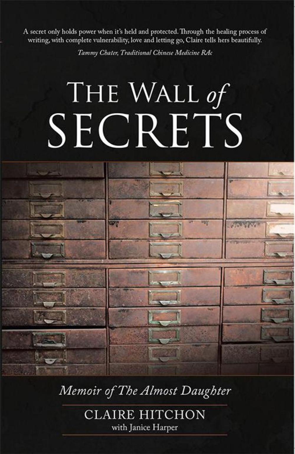 Big bigCover of The Wall of Secrets