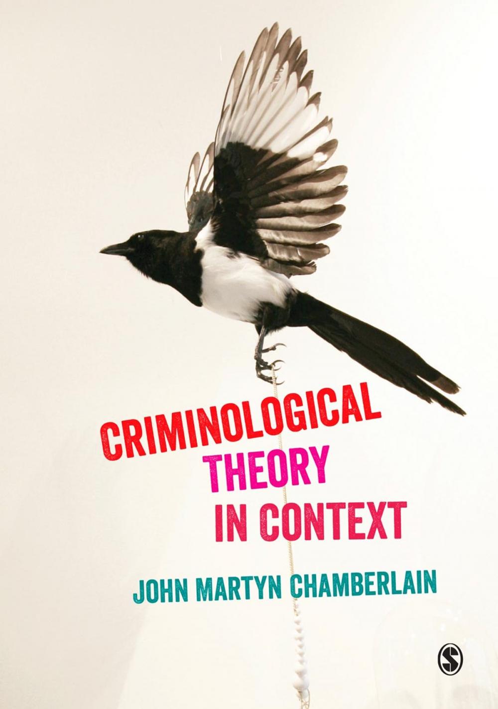 Big bigCover of Criminological Theory in Context