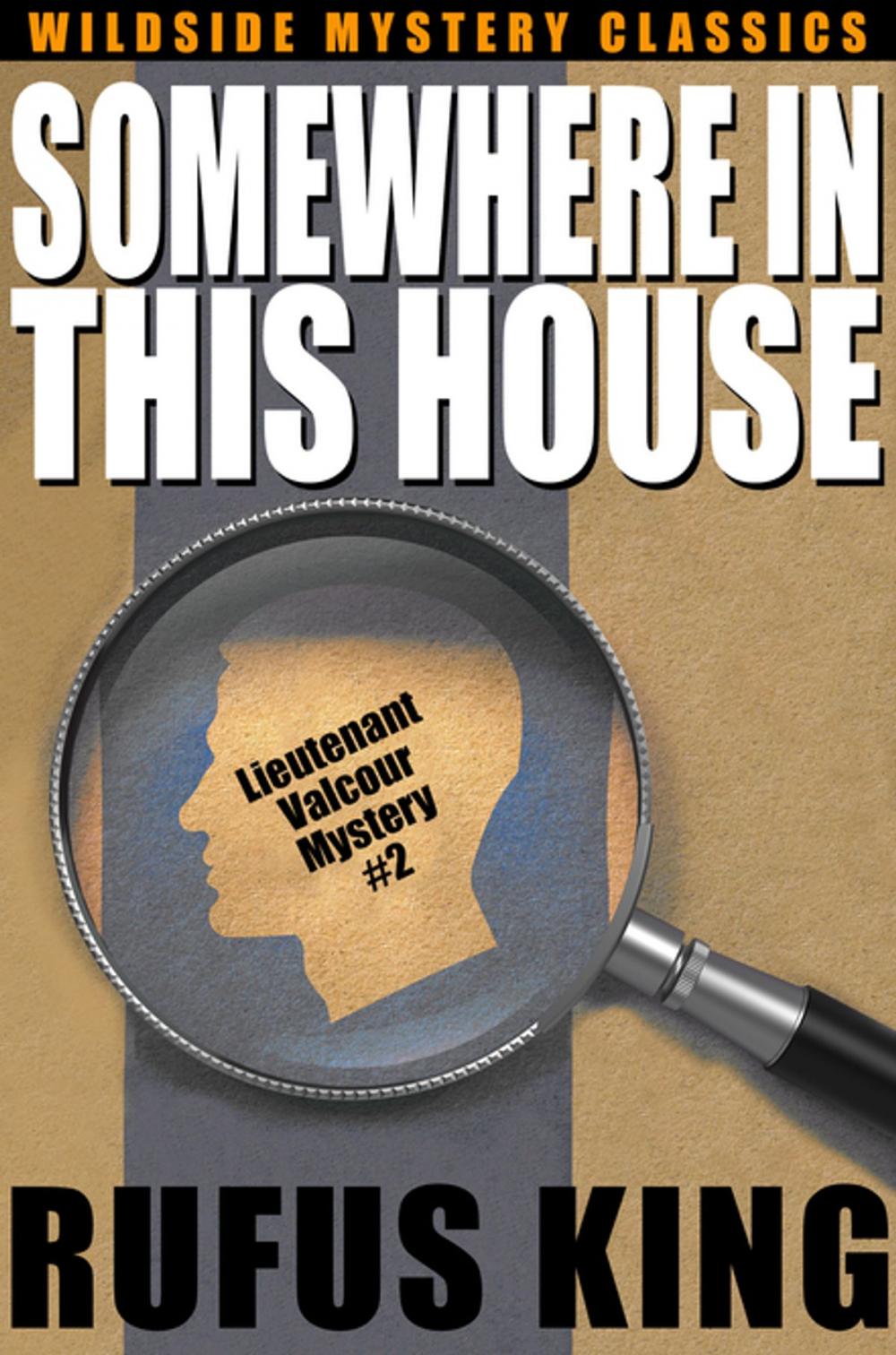 Big bigCover of Somewhere in This House: A Lt. Valcour Mystery