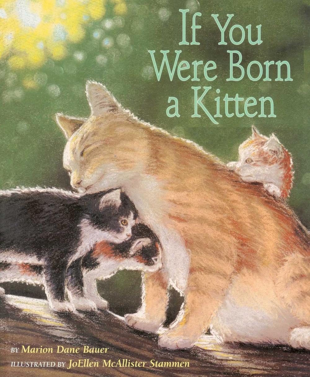 Big bigCover of If You Were Born a Kitten