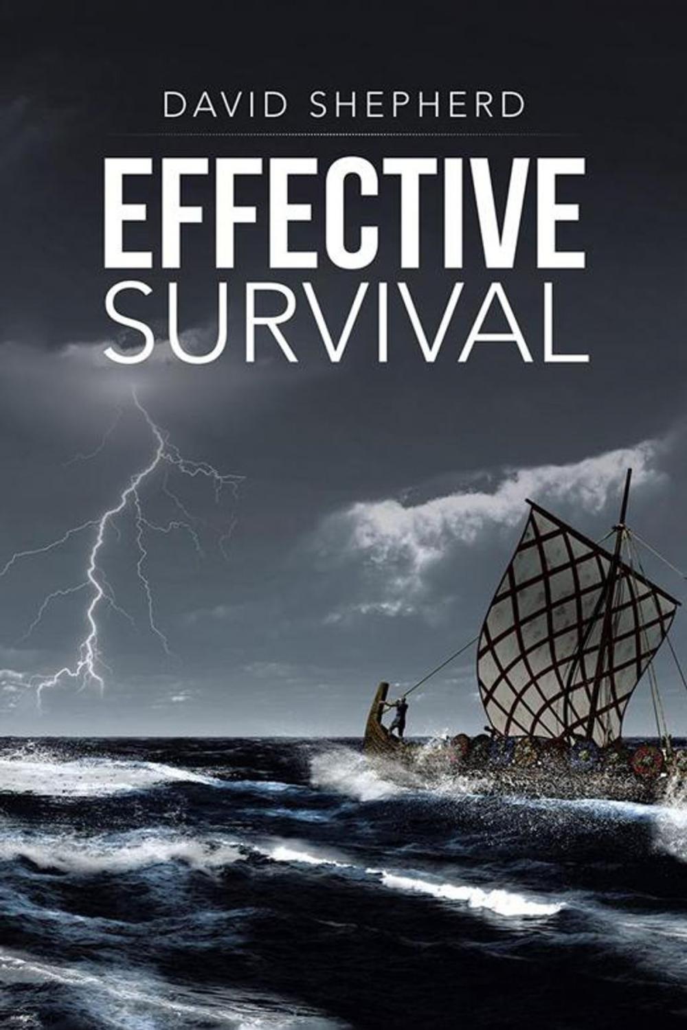 Big bigCover of Effective Survival