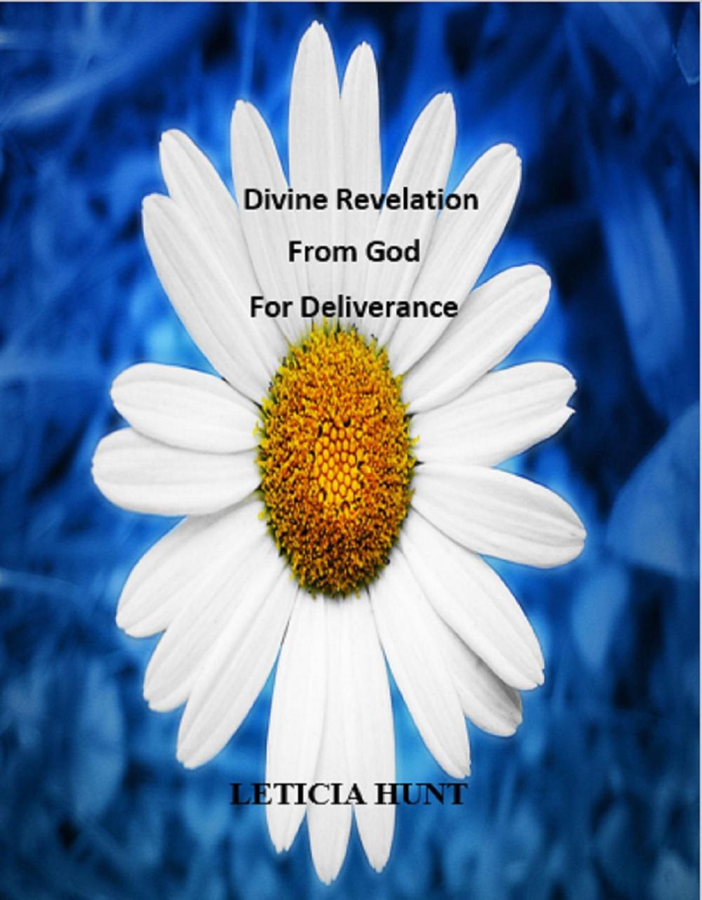 Big bigCover of Divine Revelation from God for Deliverance