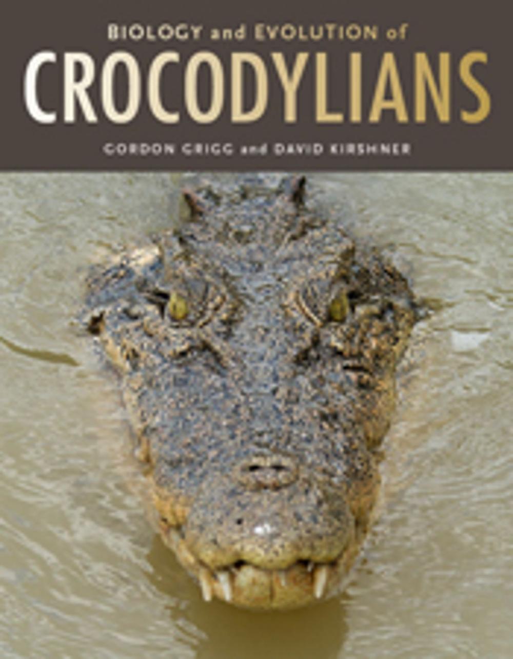 Big bigCover of Biology and Evolution of Crocodylians