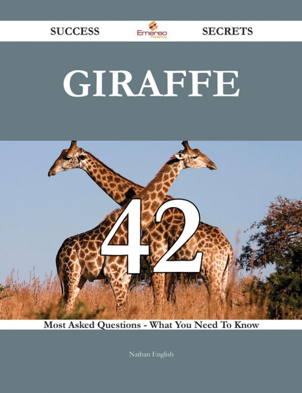 Big bigCover of Giraffe 42 Success Secrets - 42 Most Asked Questions On Giraffe - What You Need To Know