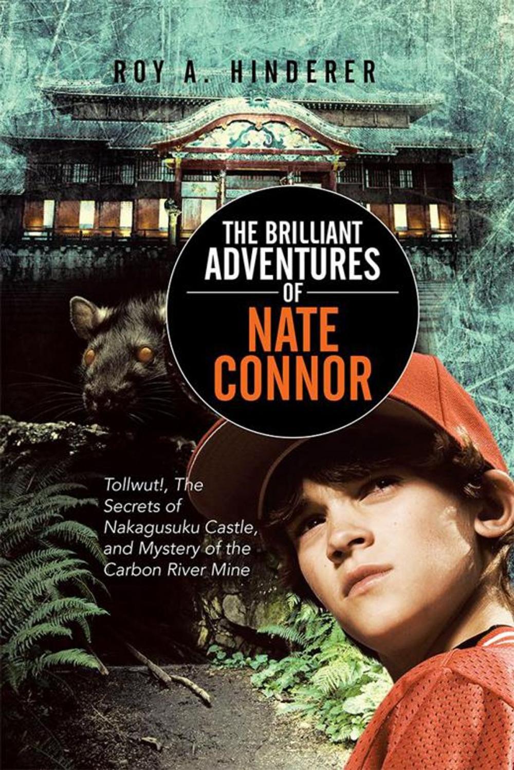 Big bigCover of The Brilliant Adventures of Nate Connor