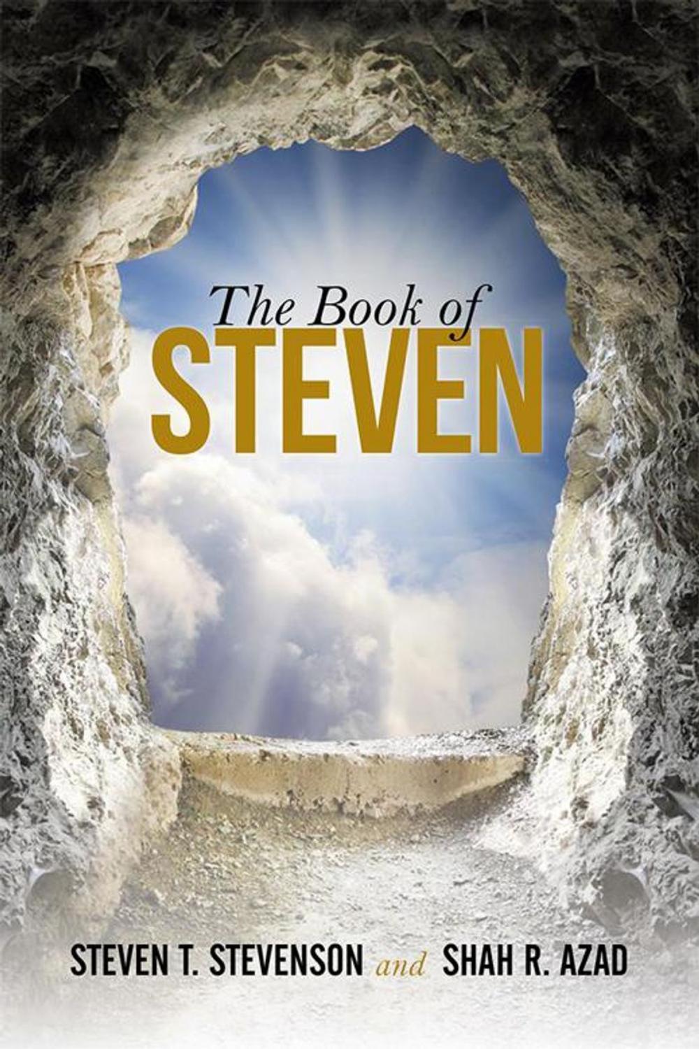 Big bigCover of The Book of Steven