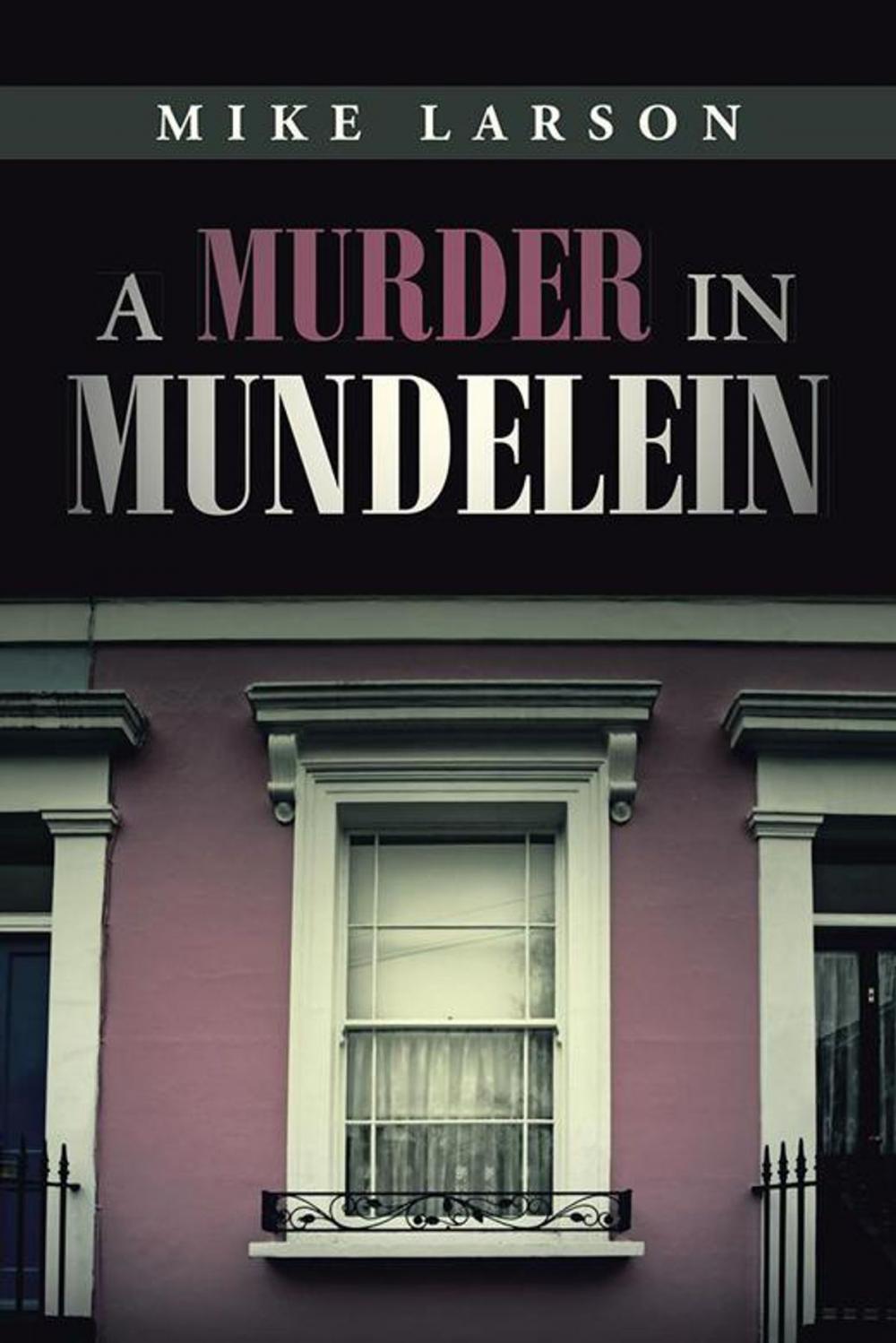 Big bigCover of A Murder in Mundelein