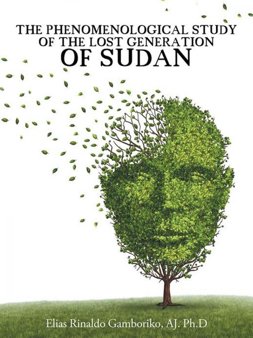 Big bigCover of The Phenomenological Study of the Lost Generation of Sudan