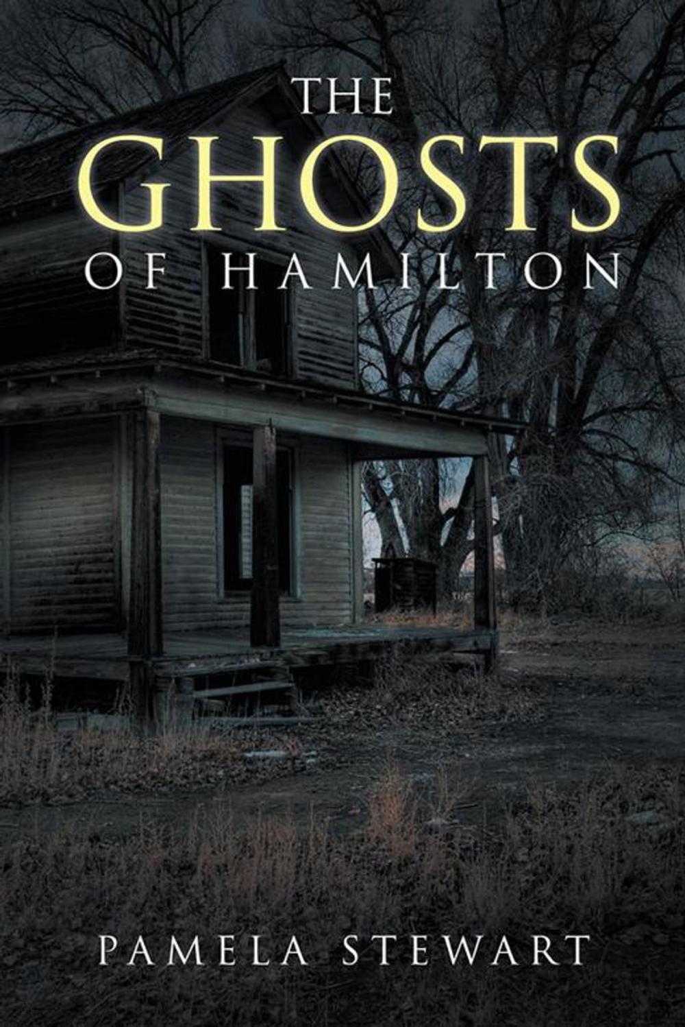 Big bigCover of The Ghosts of Hamilton