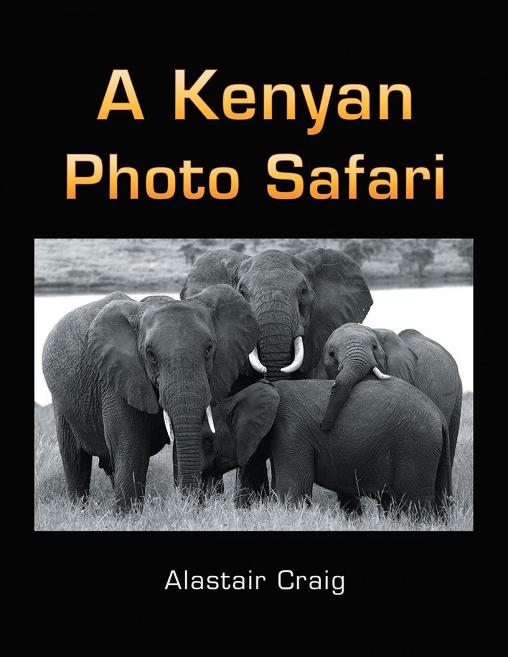 Big bigCover of A Kenyan Photo Safari