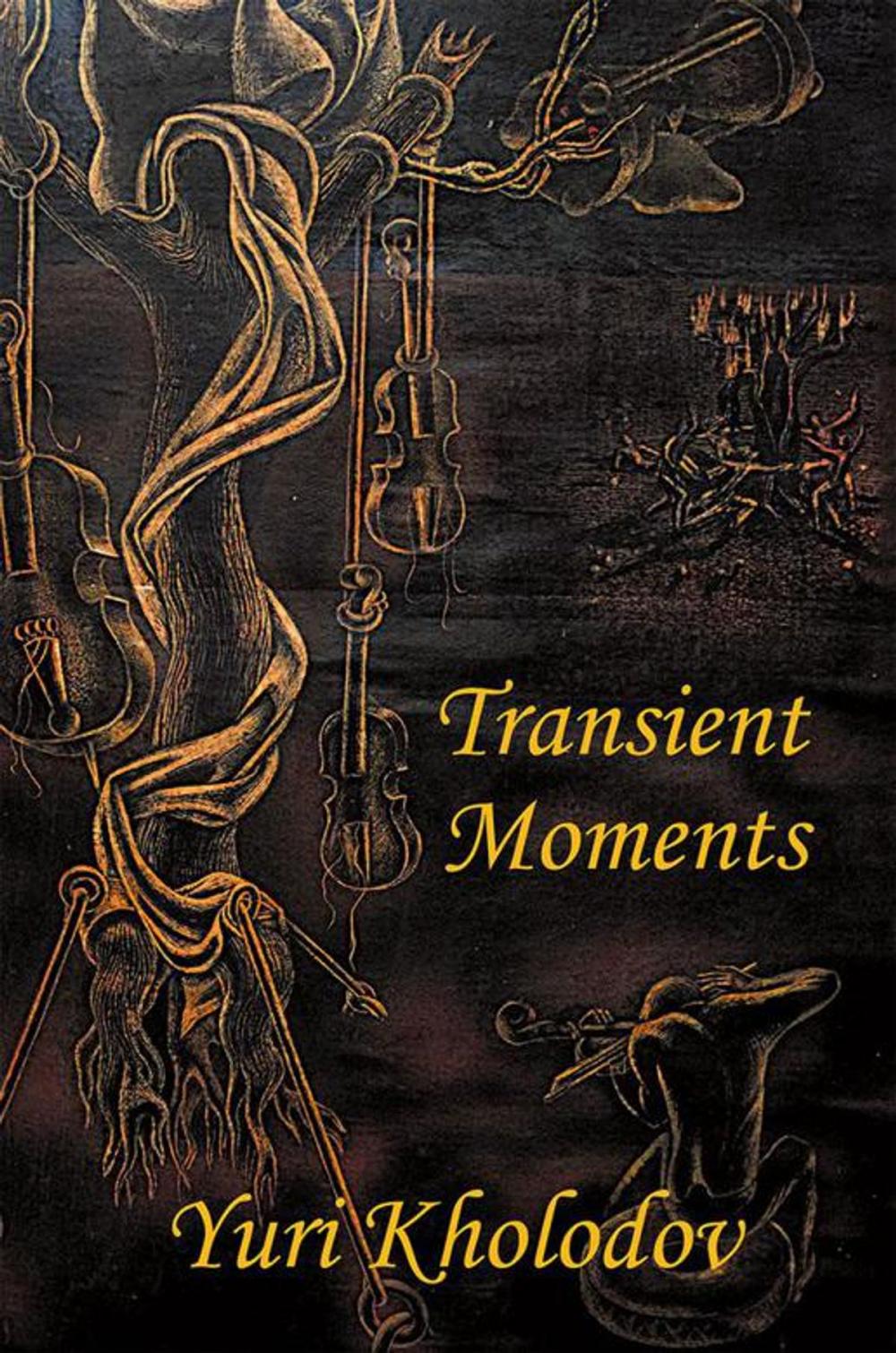 Big bigCover of Transient Moments