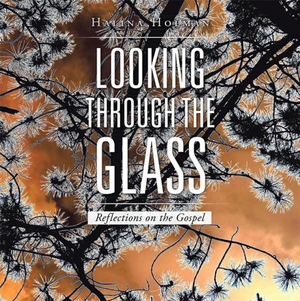 Big bigCover of Looking Through the Glass