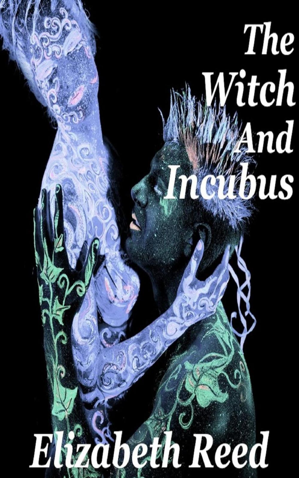 Big bigCover of The Witch and the Incubus