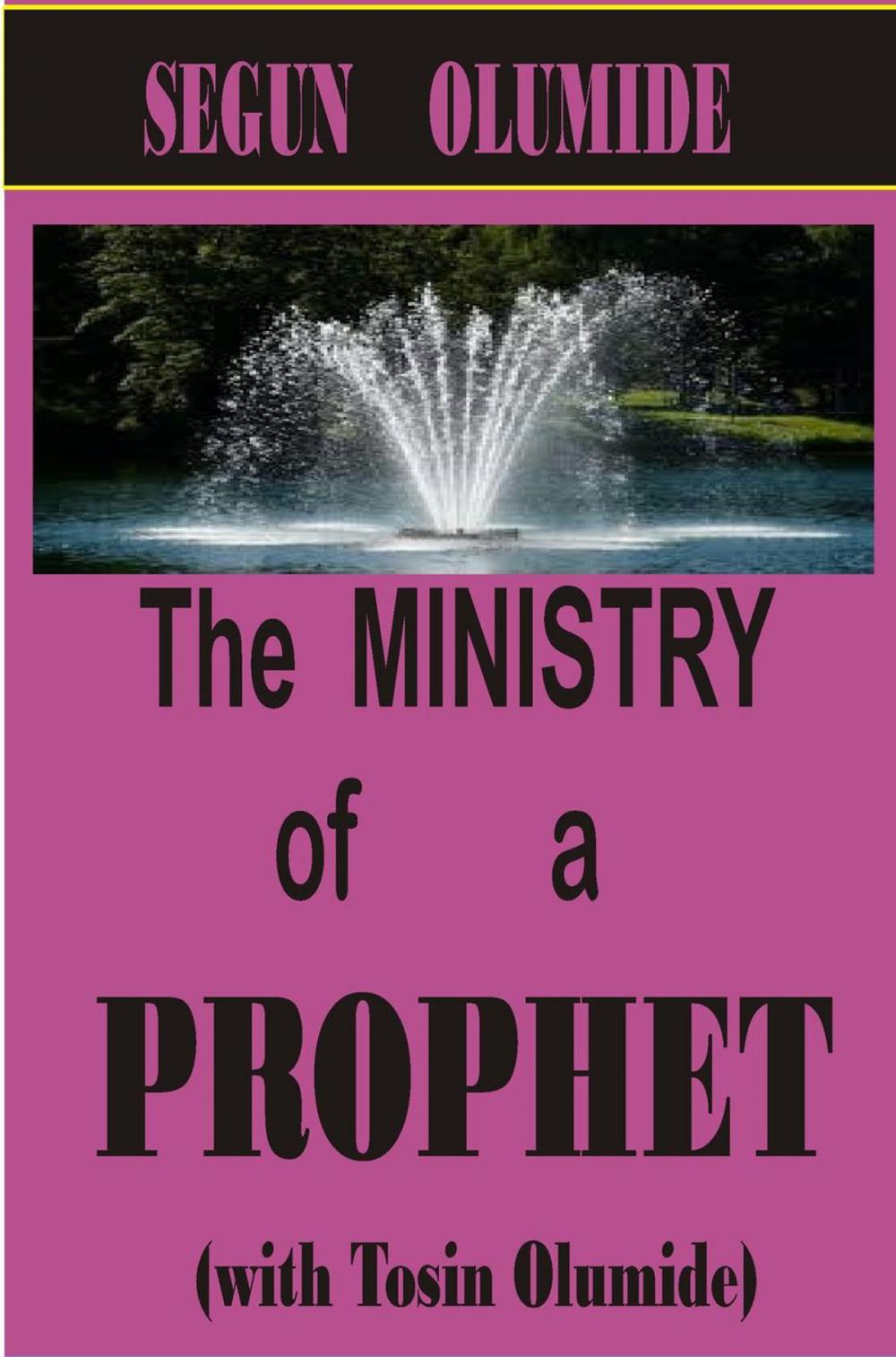 Big bigCover of The Ministry of a Prophet