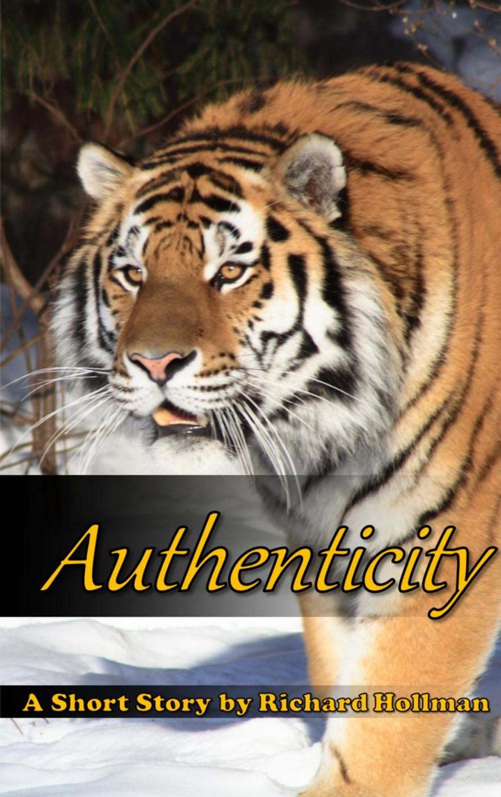 Big bigCover of Authenticity