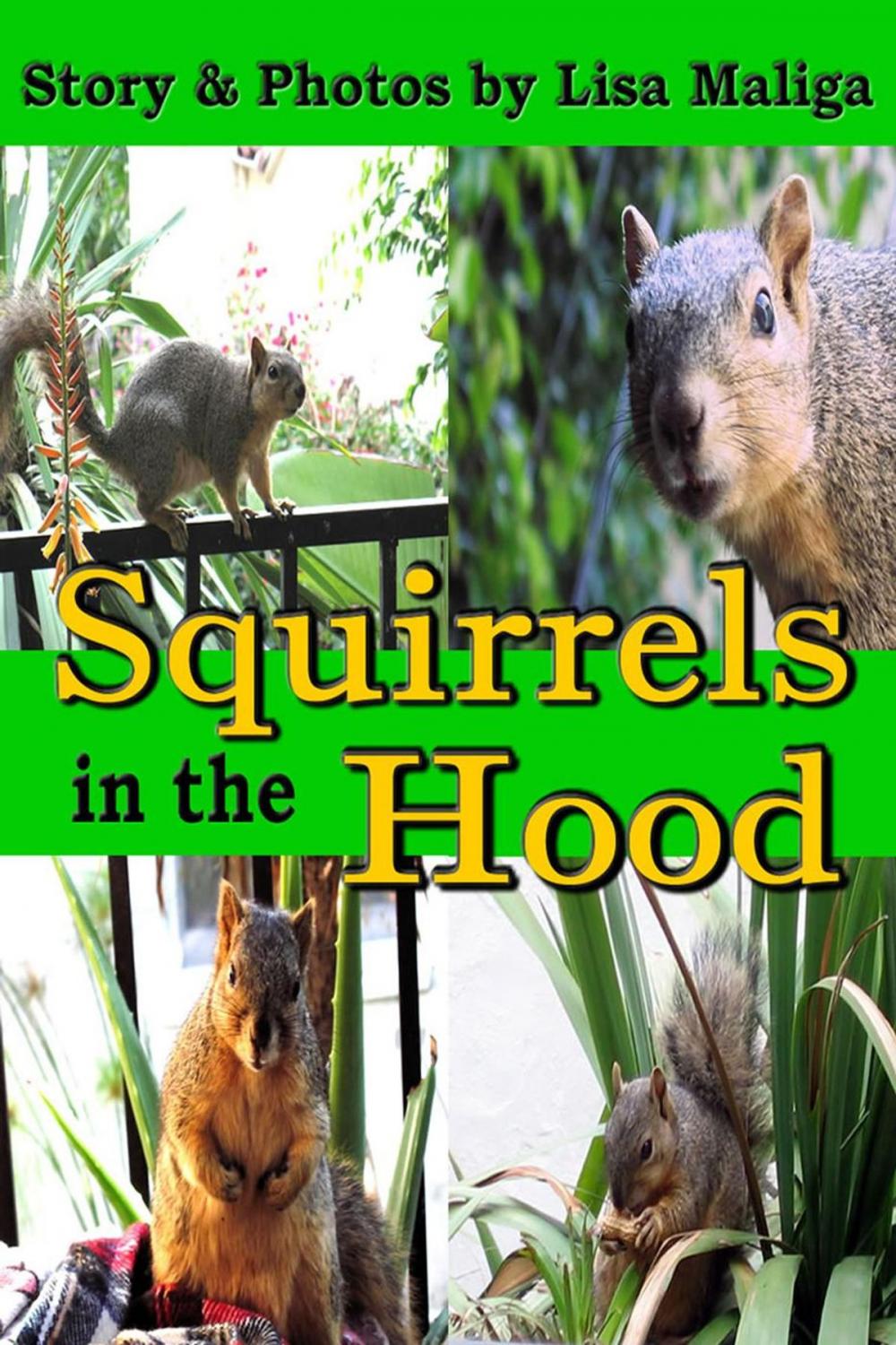 Big bigCover of Squirrels in the Hood