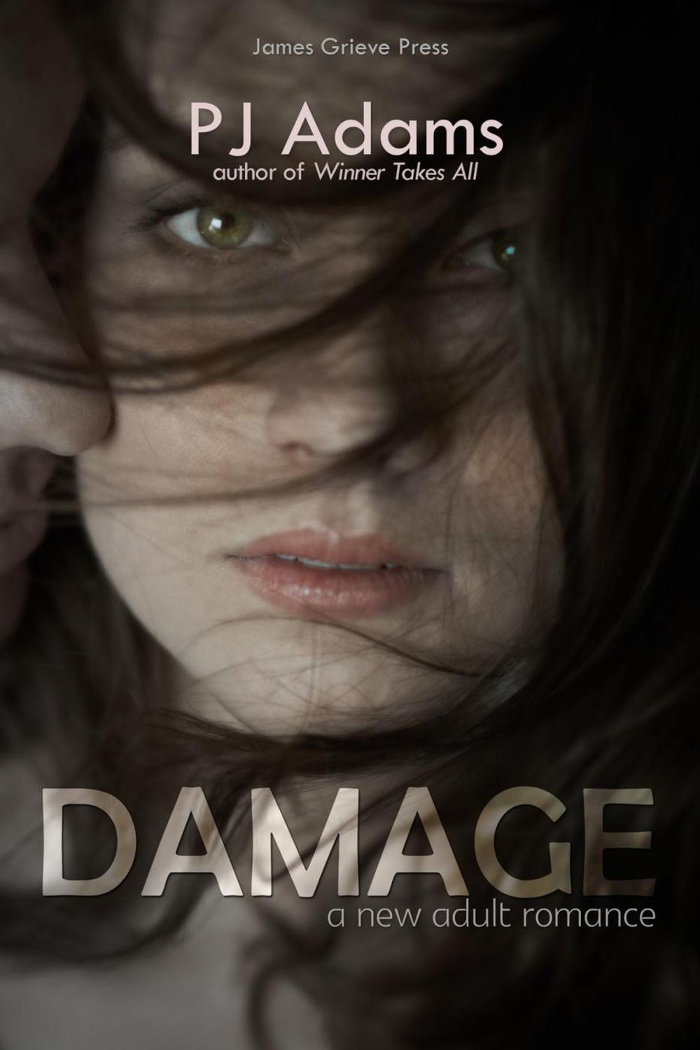 Big bigCover of Damage (A New Adult romance)