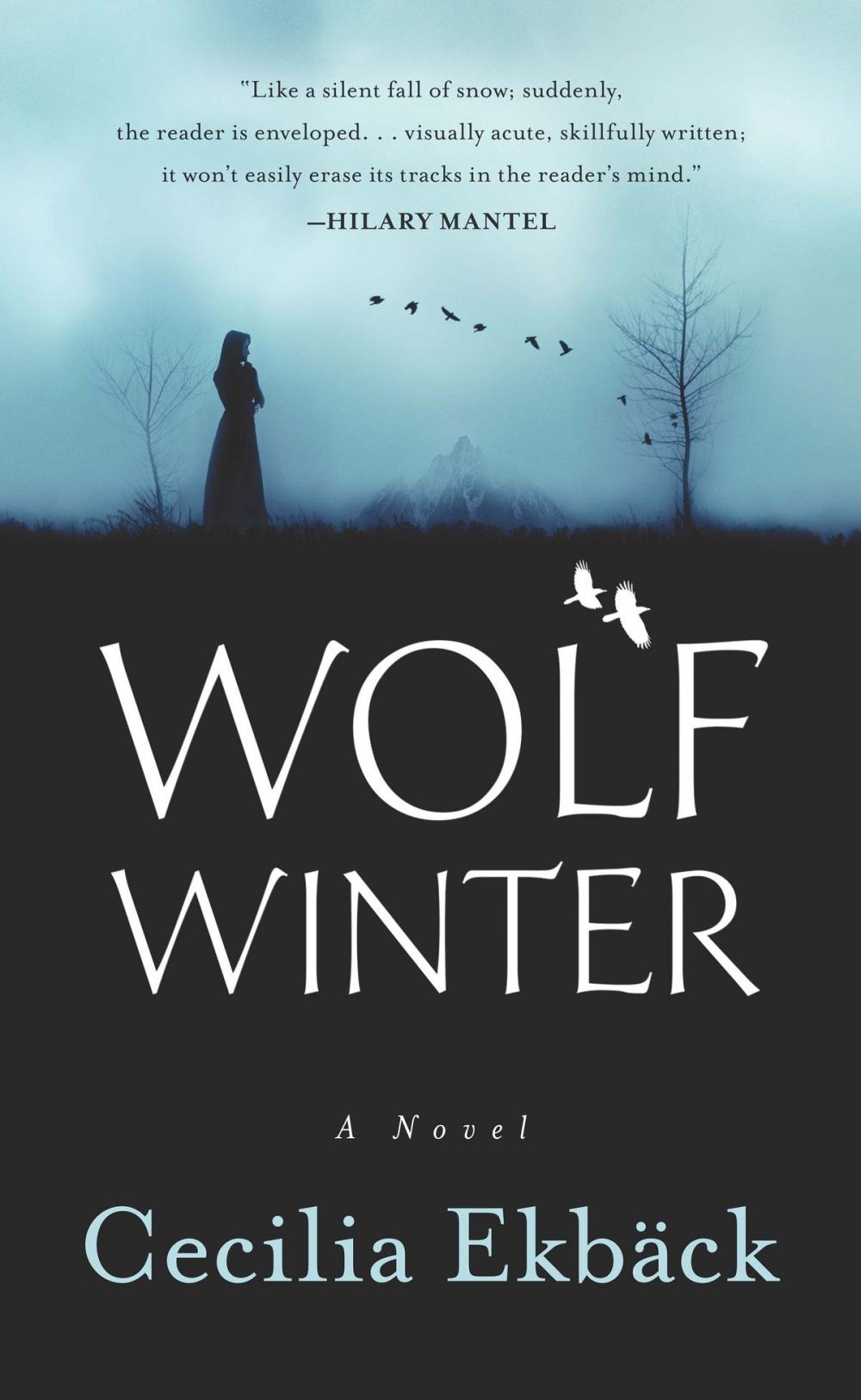 Big bigCover of Wolf Winter