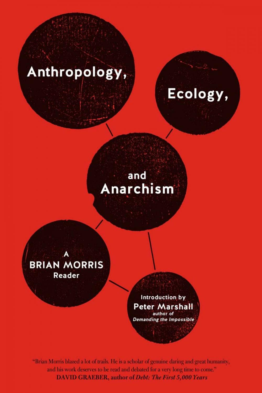 Big bigCover of Anthropology, Ecology, and Anarchism