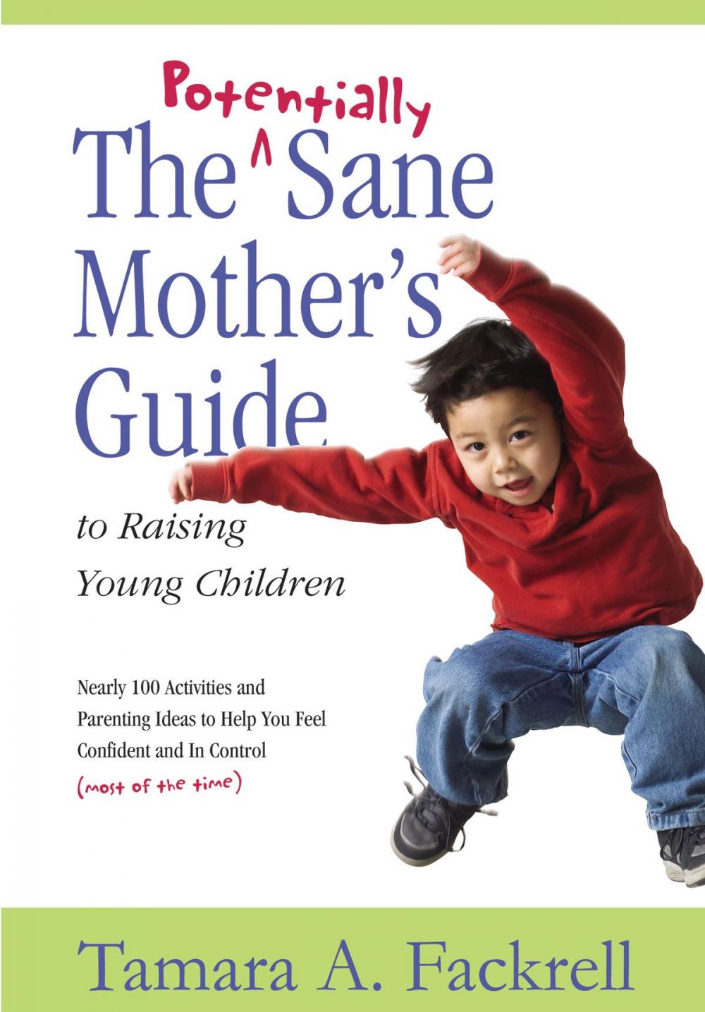 Big bigCover of Potentially Sane Mother's Guide