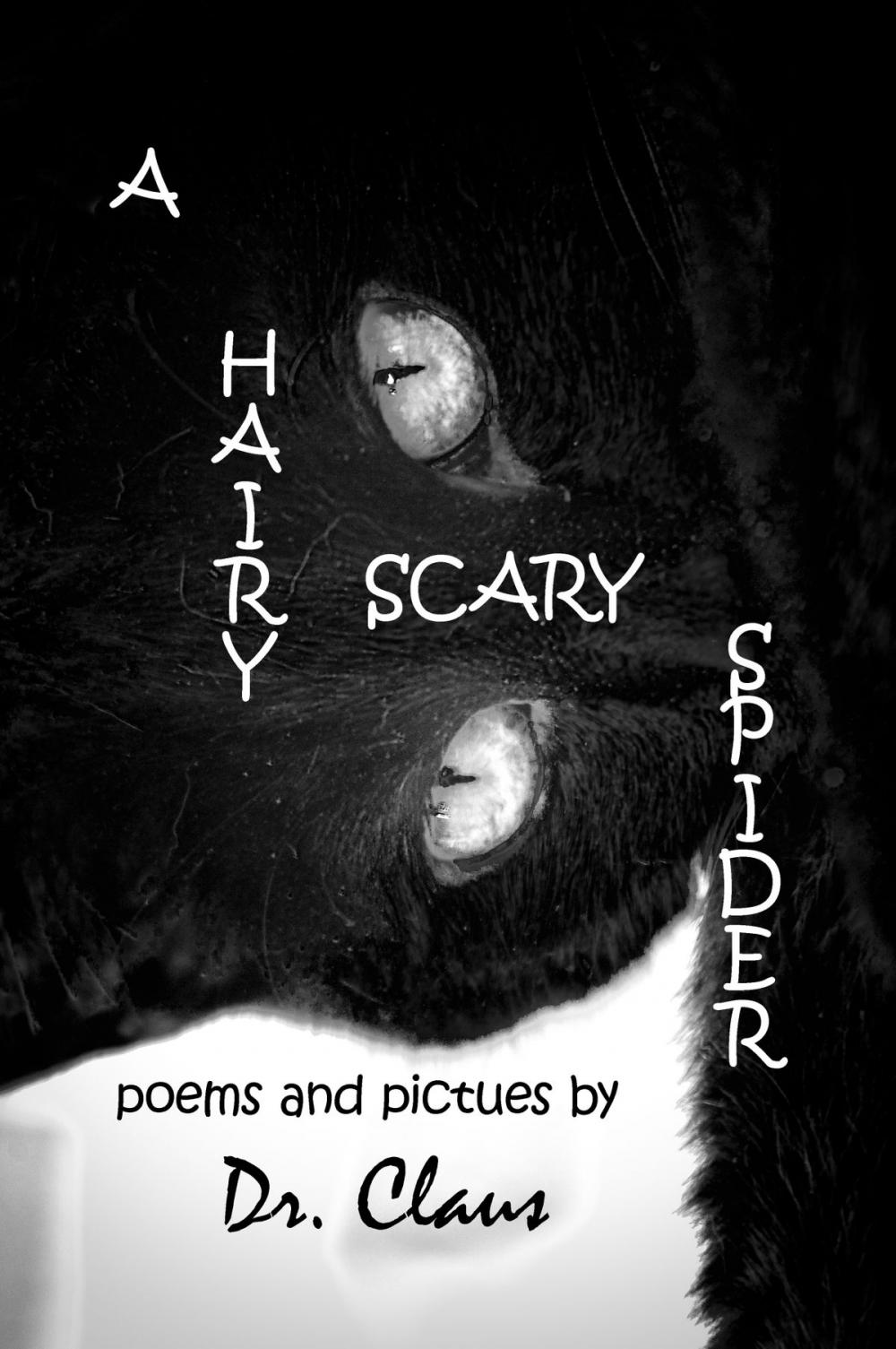 Big bigCover of A Hairy Scary Spider