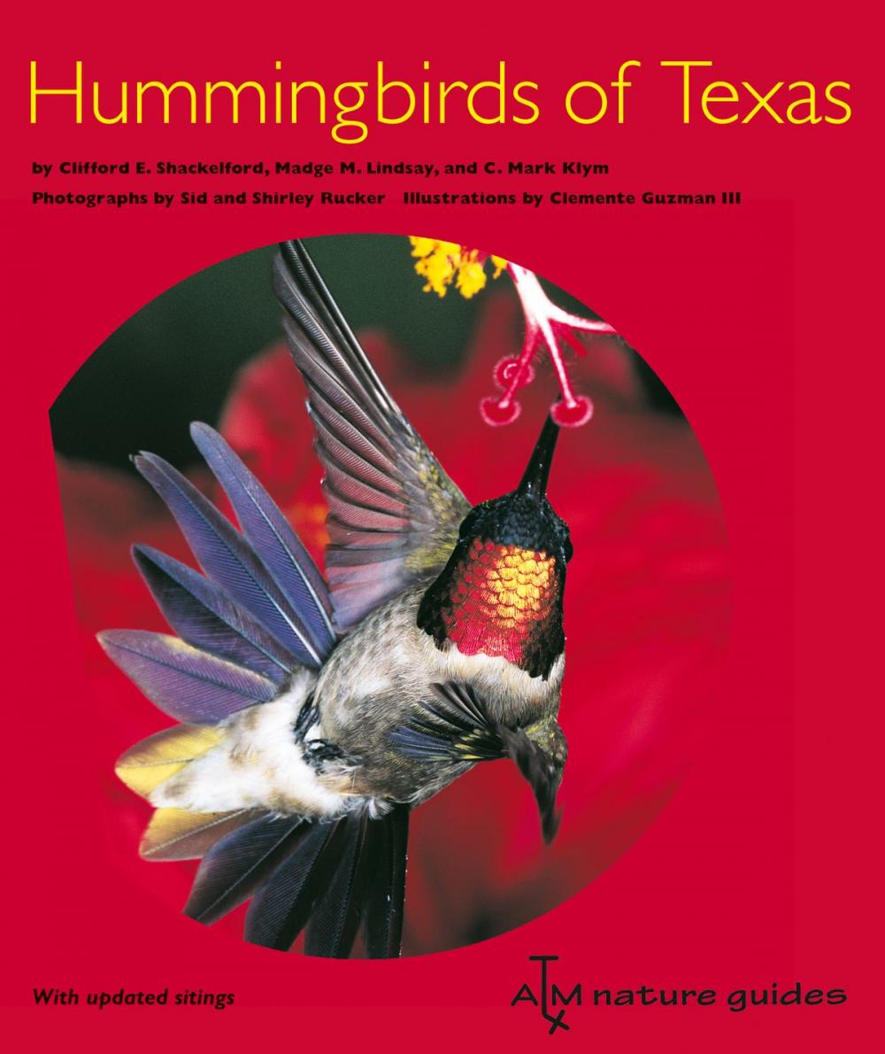 Big bigCover of Hummingbirds of Texas