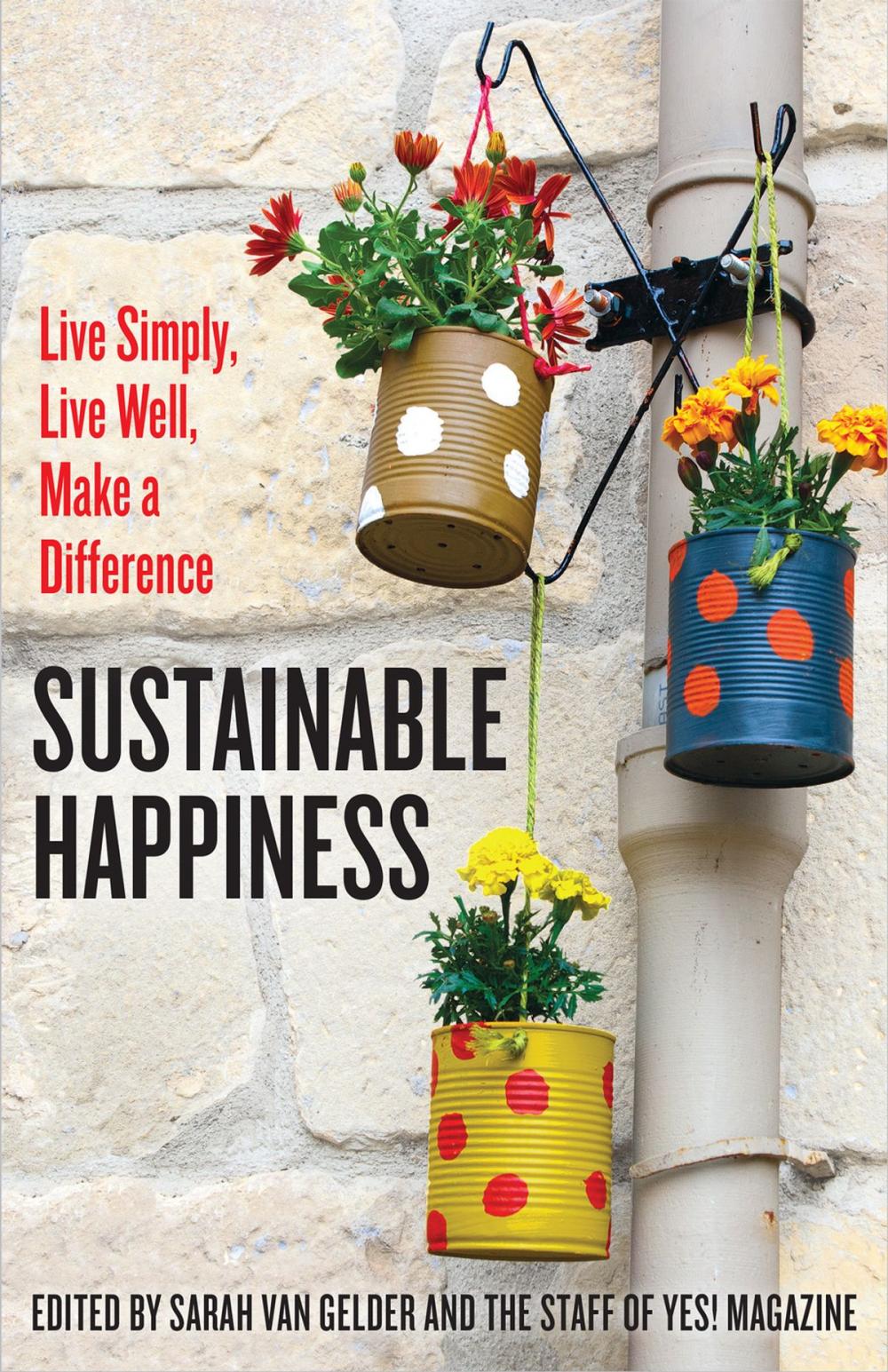 Big bigCover of Sustainable Happiness